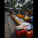 mit großen und kleinen Fischen,